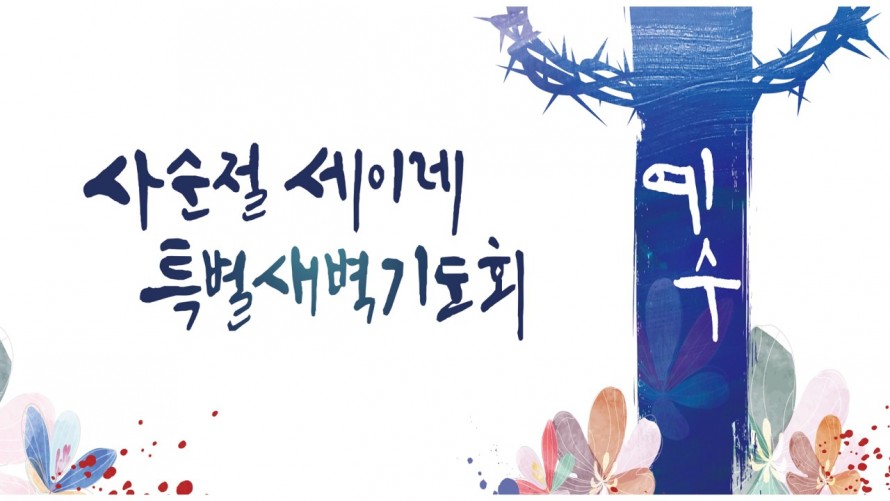 봉일천교회 / 교회 사진앨범