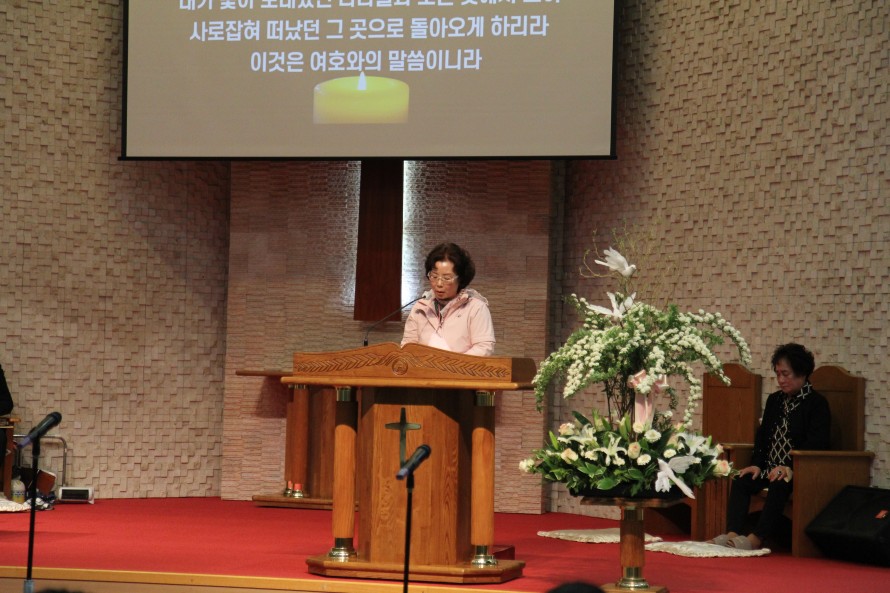 봉일천교회 / 교회 사진앨범
